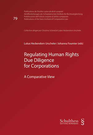 Regulating Human Rights Due Diligence for Corporations